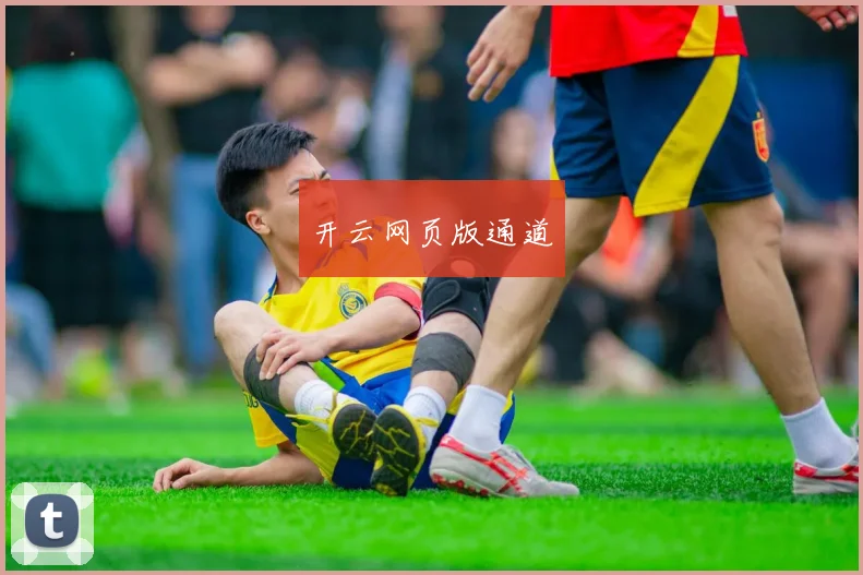 开云网页版通道