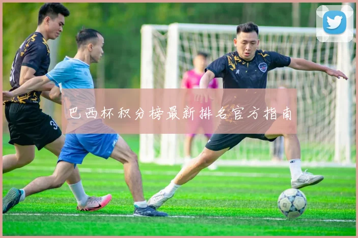 巴西杯积分榜最新排名官方指南