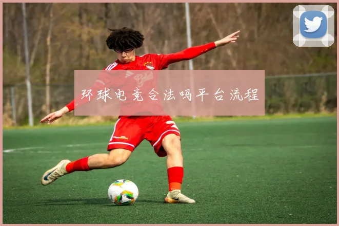环球电竞合法吗平台流程