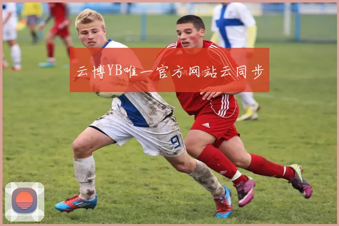 云博YB唯一官方网站云同步