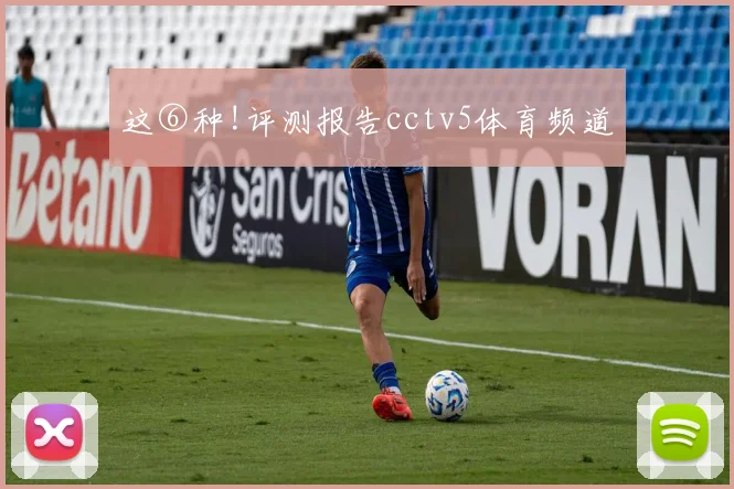 这⑥种!评测报告cctv5体育频道