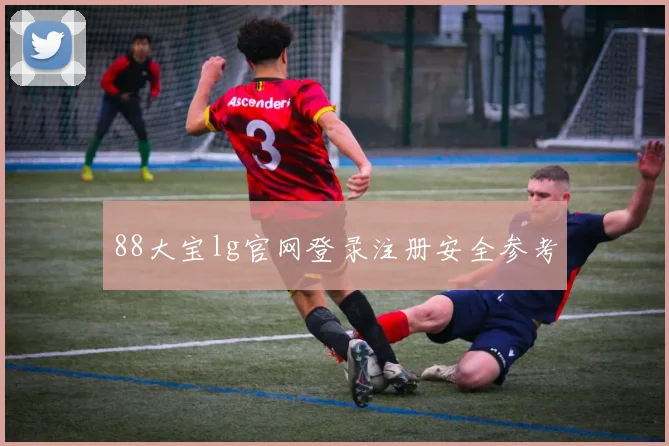 88大宝lg官网登录注册安全参考