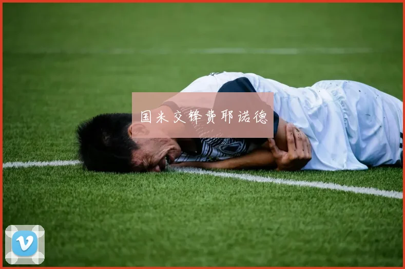 国米交锋费耶诺德