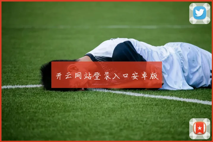 开云网站登录入口安卓版