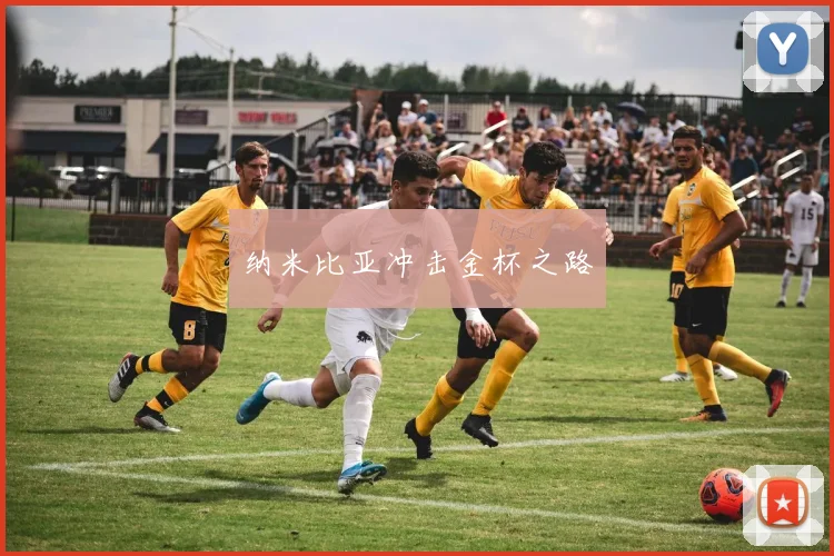 纳米比亚冲击金杯之路