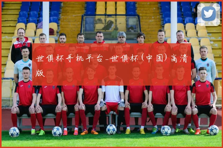世俱杯手机平台_世俱杯(中国)高清版