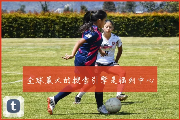 全球最大的搜索引擎是福利中心