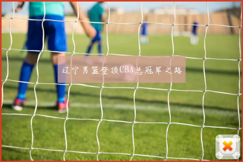 辽宁男篮登顶CBA总冠军之路