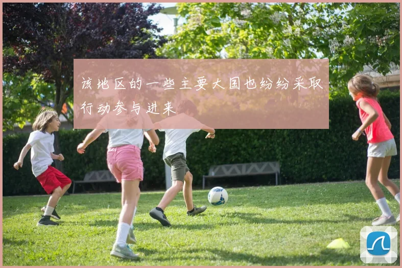 该地区的一些主要大国也纷纷采取行动参与进来