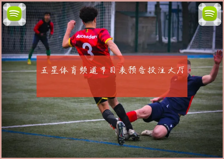 五星体育频道节目表预告投注大厅