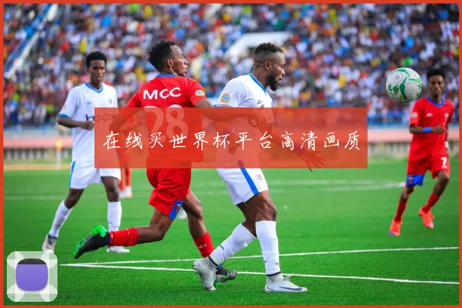 在线买世界杯平台高清画质
