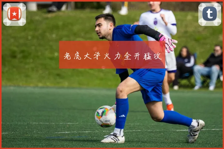 老虎大学火力全开猛攻
