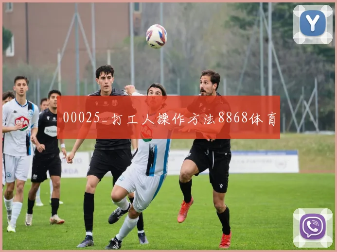 00025_打工人操作方法8868体育