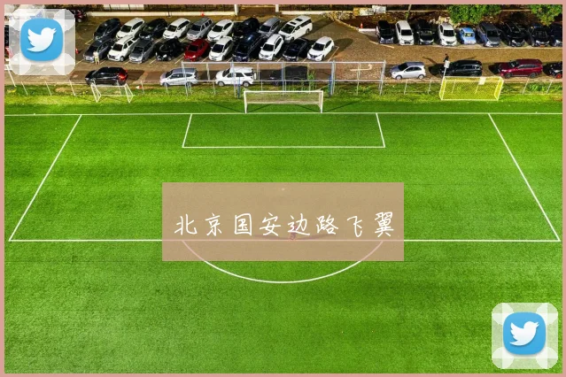 北京国安边路飞翼
