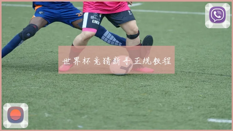 世界杯竞猜新手正规教程