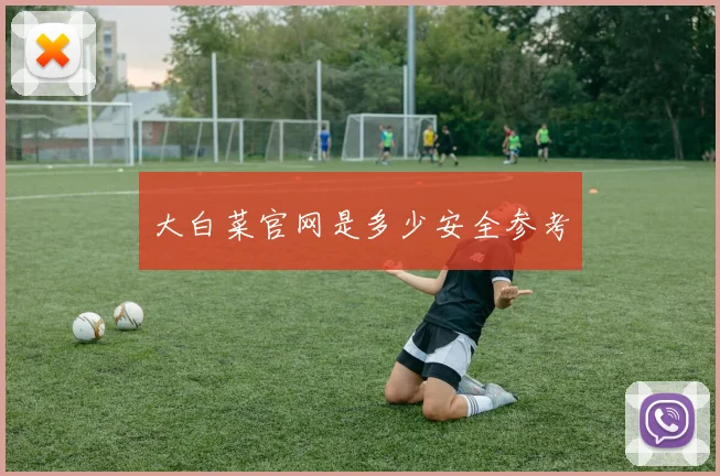 大白菜官网是多少安全参考