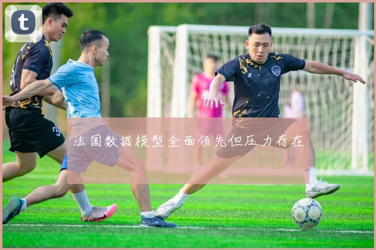 法国数据模型全面领先但压力存在