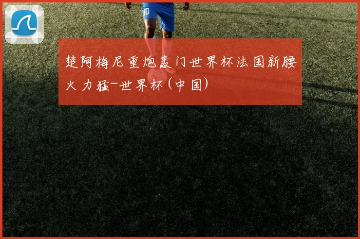 楚阿梅尼重炮轰门世界杯法国新腰火力猛-世界杯(中国)
