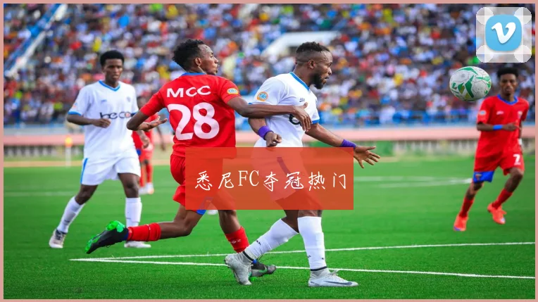 悉尼FC夺冠热门