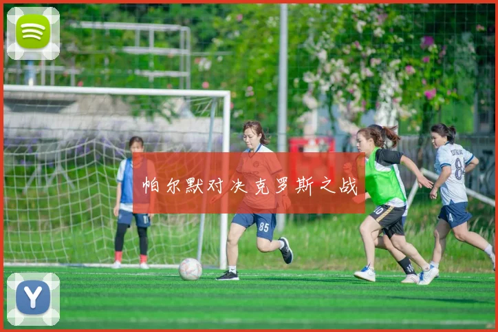 帕尔默对决克罗斯之战