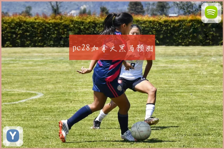 pc28加拿大黑马预测
