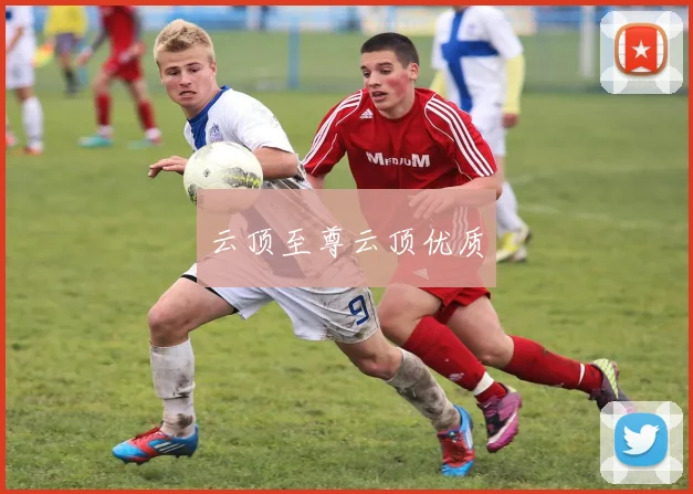 云顶至尊云顶优质