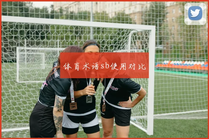 体育术语sb使用对比