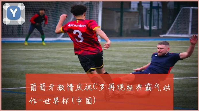 葡萄牙激情庆祝C罗再现经典霸气动作-世界杯(中国)