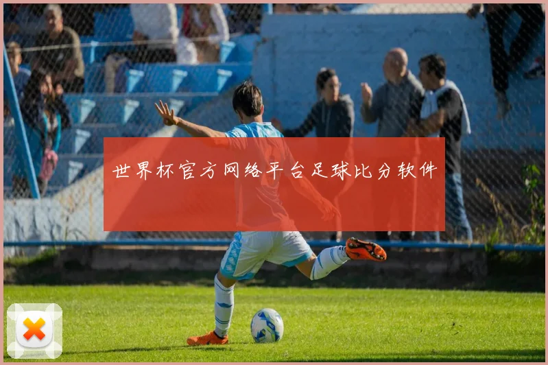 世界杯官方网络平台足球比分软件