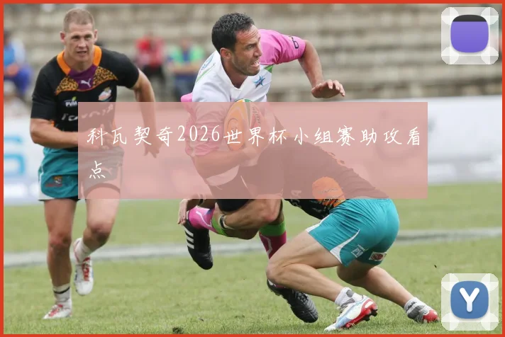 科瓦契奇2026世界杯小组赛助攻看点