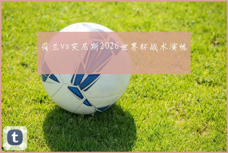 荷兰vs突尼斯2026世界杯战术演练