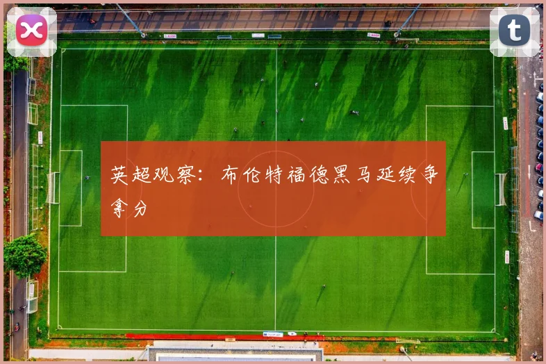 英超观察：布伦特福德黑马延续争拿分