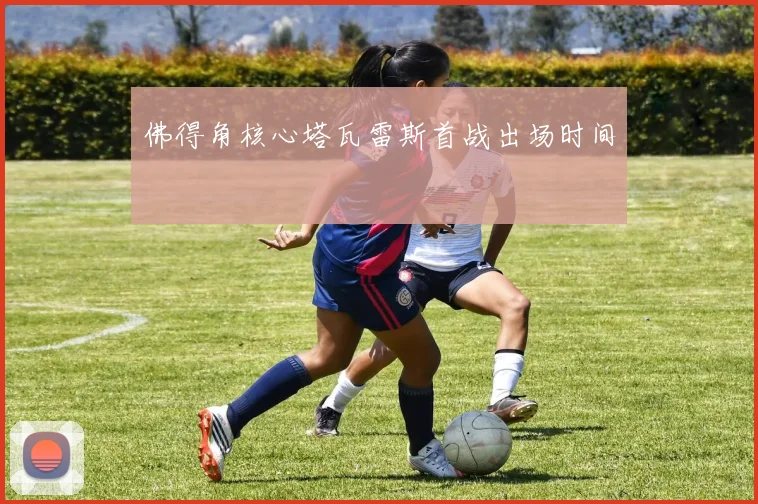 佛得角核心塔瓦雷斯首战出场时间