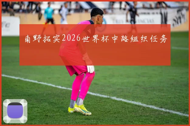 南野拓实2026世界杯中路组织任务